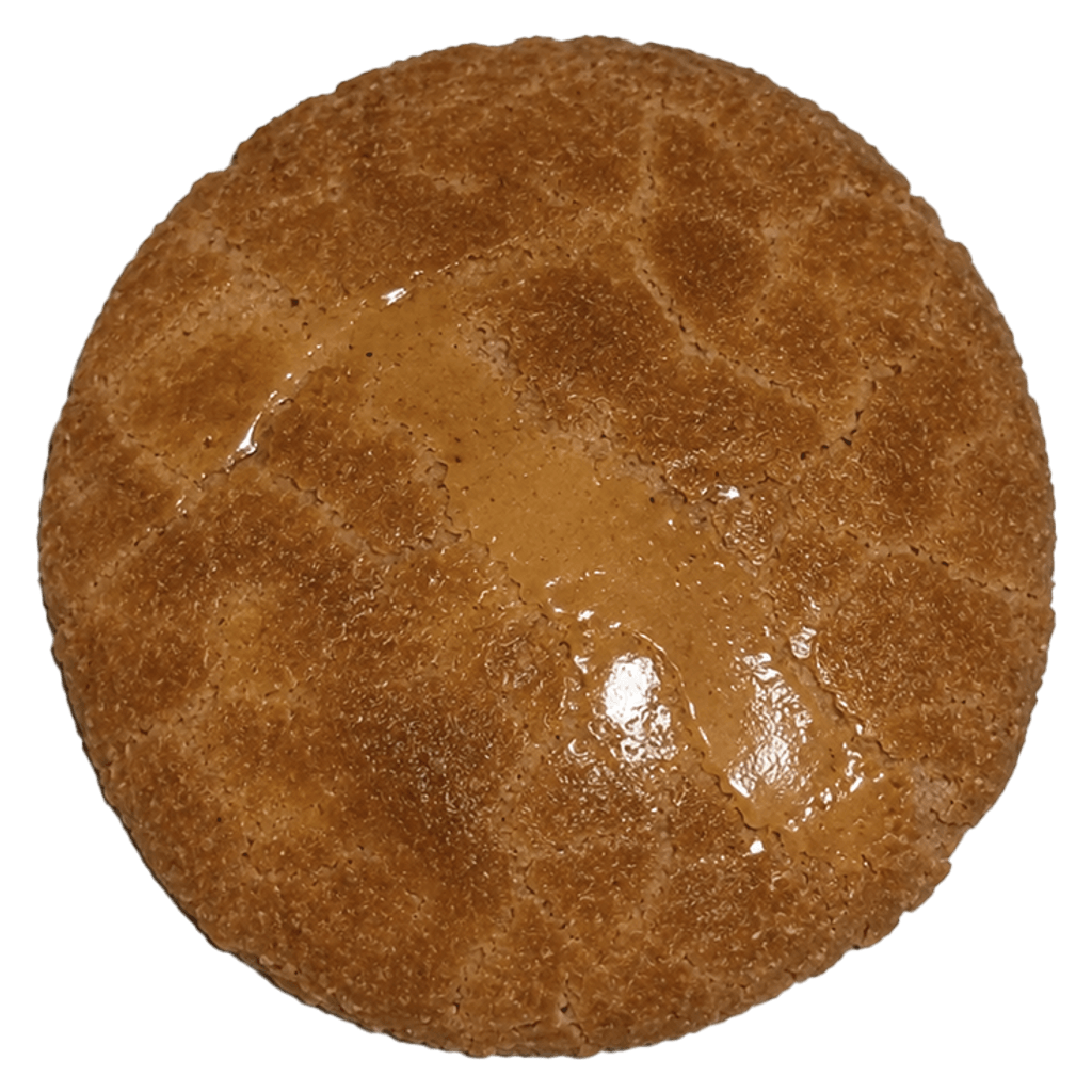 A Biscoff cookie seen from above, glazed with Biscoff spread across a caramelised crust.